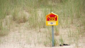 Nine drownings in seven days - stay safe appeal to water users in Kildare and around the country