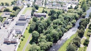 Communities in Kildare receive grants for local waters and biodiversity projects 