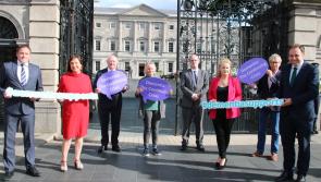 Dementia services must be a priority in the Budget, Kildare Senator says