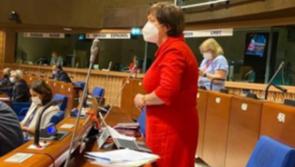 Kildare Senator raises issue of Dementia and Alzheimer’s care at Council of Europe meeting 