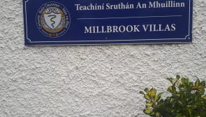 Trees 'won't fall' on Naas houses