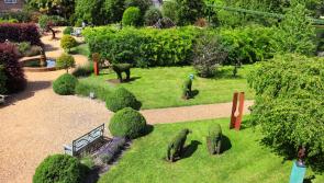 Over 60 sensory gardens for people with disabilities to be developed across Ireland
