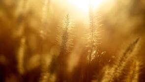 Weather forecast for Ireland at the weekend with better weather on the way as high pressure builds