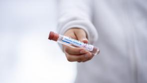 Irish scientists hunting genetic explanation for differences in Covid-19 severity 