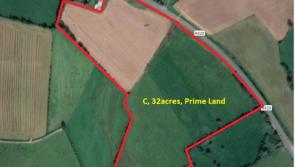 AUCTION WATCH: 32 acres of Offaly farmland fetches huge sum at auction 