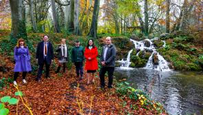 Minister visits Naas parklands site 