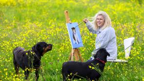 Kildare artist chosen for new exhibition featuring artists with intellectual disabilities