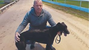 Kildare Greyhound Racing News: Tilly and Devon win in style