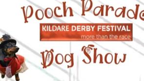 Calling all dogs to the inaugural Kildare Derby Festival Pooch Parade