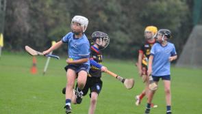 PHOTOS: All the snaps from the U11 Cumann na mBunscol Kildare finals