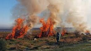 Minister warns against land fires during Covid-19 crisis