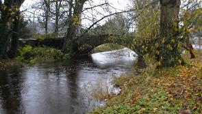 NEWS BRIEF: Cleaning is needed at Kildare river, councillors claim