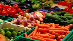 Additional funding of €830,000 approved for food hub in South Kildare