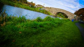 KILDARE: Walking and cycling routes should be created on Naas canal