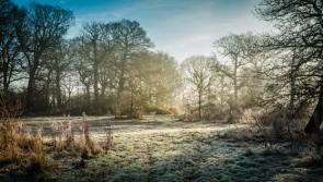A cold start with sunny spells and icy patches for Co Kildare today