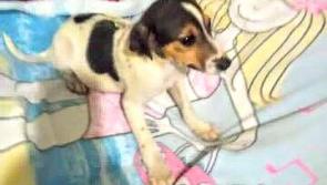 Noah's Ark Charity Shop  winter sale commences today! 