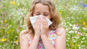 Hay fever sufferers hit with warning for next few days 