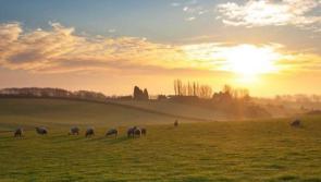 Temperatures could reach as high as 18 degrees C this week with 'plenty of sunshine', says weather forecaster 