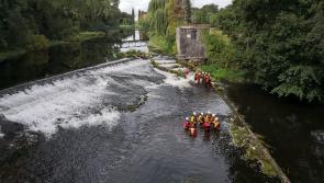 River Liffey is 'being destroyed by pollution'