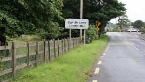 Transport officials to meet South Kildare communities over controversial road works
