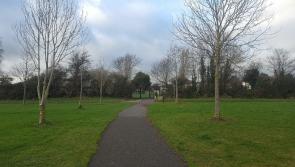 Planning application submitted for sensory garden in this Kildare park