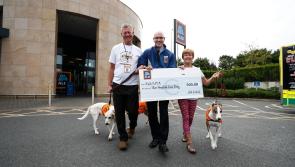 KWWSPCA welcomes €25,000 grant for animal support services