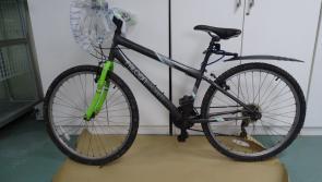 New person of interest: Gardai in Ashling Murphy murder probe focus on picture of man on bike