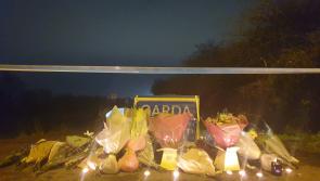 House in Offaly searched as new suspect emerges in Ashling Murphy murder probe