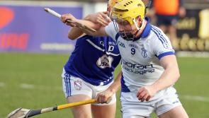Naas crowned Leinster hurling champions