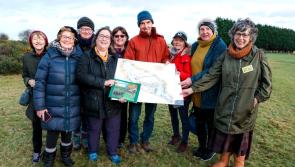 This Féile Bríde walk on the Curragh opened my eyes to the history and habitats of Kildare's ancient plains