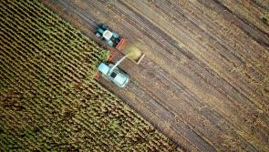 Kildare TD announces €9.6 million in research grants for projects across agri-food and bioeconomy