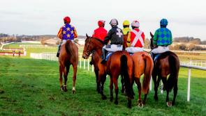 PHOTO GALLERY: A special Saturday at Naas Racecourse