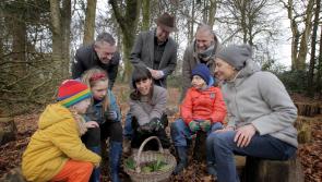 Kildare innovators encouraged to 'be the change you seek' and apply to Social Entrepreneurs Ireland