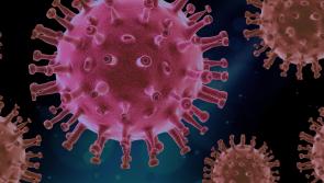 Covid-19 patients in ICU drop to 6 month low