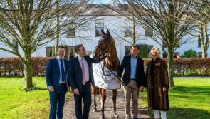 Kildare's Barberstown Castle to sponsor with Punchestown and The Curragh
