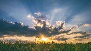 WEATHER: Good weather set to continue into middle of next week