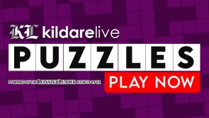 Kildare Live Interactive Puzzles