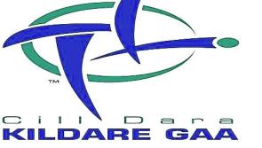 Kildare GAA: Athy held, Raheens go joint top