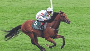 Kildare racing review: Aidan O'Brien racks up an impressive treble at Naas