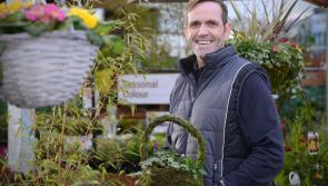 Award-winning Kildare gardener shares his tips and new projects