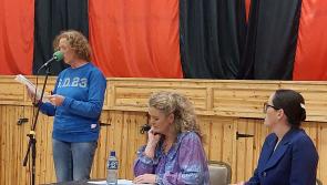 Controversy: Newbridge community anger over changes to park walkway aired at public Kildare meeting