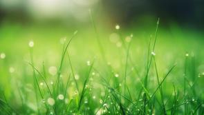 WEATHER: Mix of sunny spells and scattered showers expected for weekend ahead 
