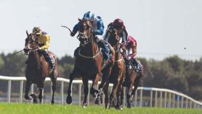 Kildare Racing News: Keane and O'Callaghan strike with favourite at Navan