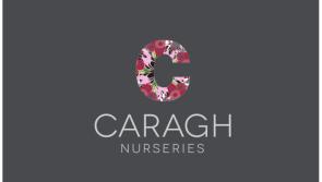 Caragh Nurseries is Recruiting for the Following Positions 