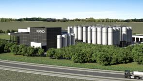 Kildare TD says he is ‘disappointed’ over delay affecting proposed €200 million Newbridge brewery 