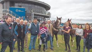 Kildare Racing News: Treble of winners for jockey Gary Carroll