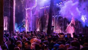 Mysterious new wooded area appears at Electric Picnic 2022