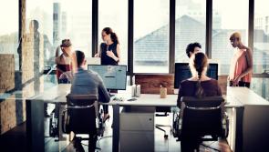 IT leads the way in value of services rebound