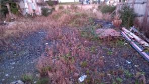 Kildare: Condition of unopened shopping centre site is criticised
