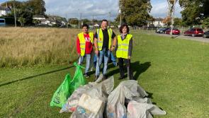 Multinational company carries out clean-up in Kildare